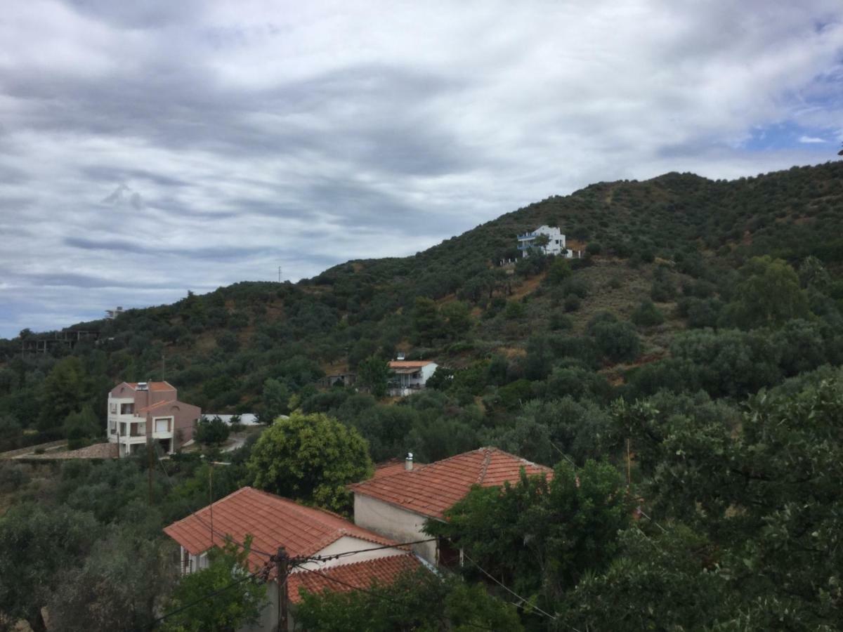 Ξενοδοχείο Καλλιθέα Λουτρά Αιδηψού Εξωτερικό φωτογραφία